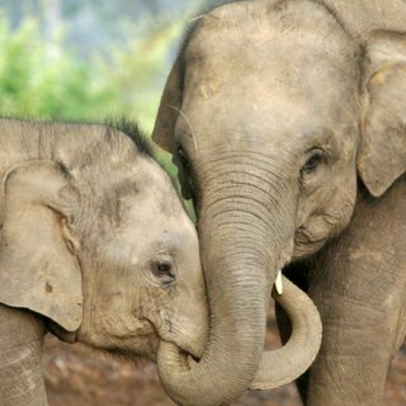 Meet your Posher, Bri - Picture 1 of 1